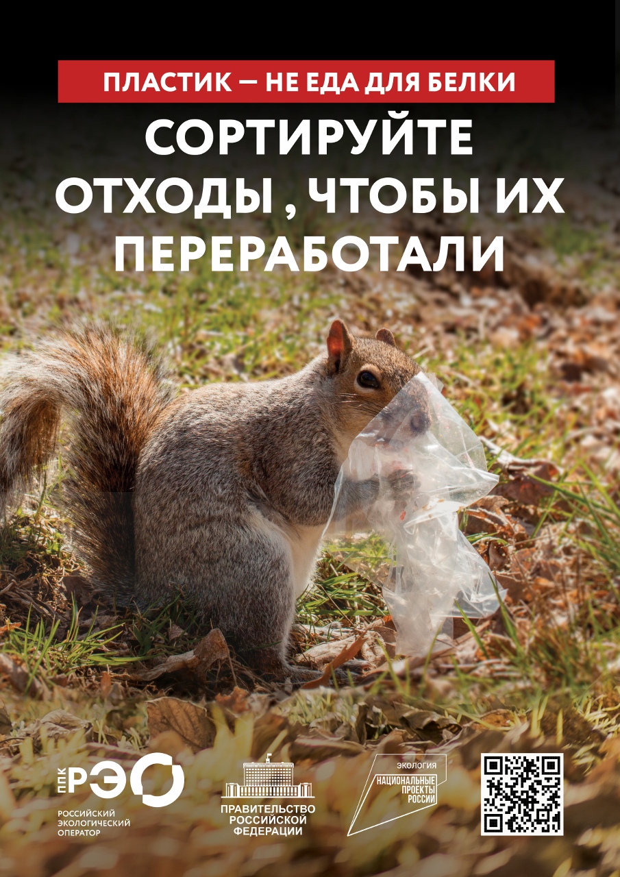 Просветительский контент, вдохновляющий на раздельный сбор отходов.