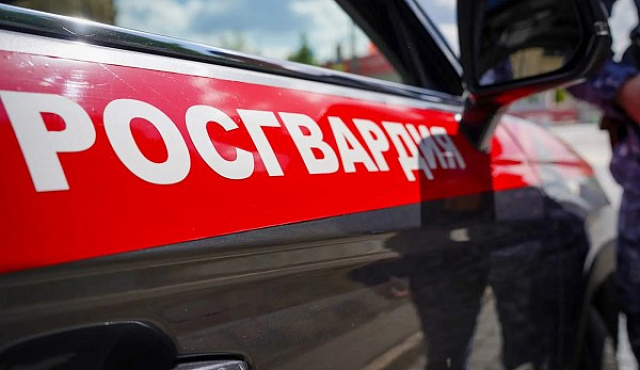 Столичные росгвардейцы задержали подозреваемого в краже