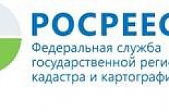  Кадастровая палата по Москве приняла участие в экологической акции «Сохраним родной край»