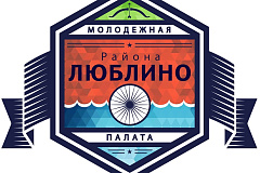 Что такое Молодежный парламент Москвы?