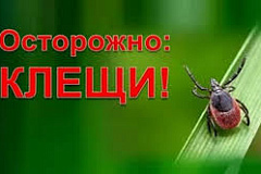 Профилактика инфекционных заболеваний, передающихся клещами